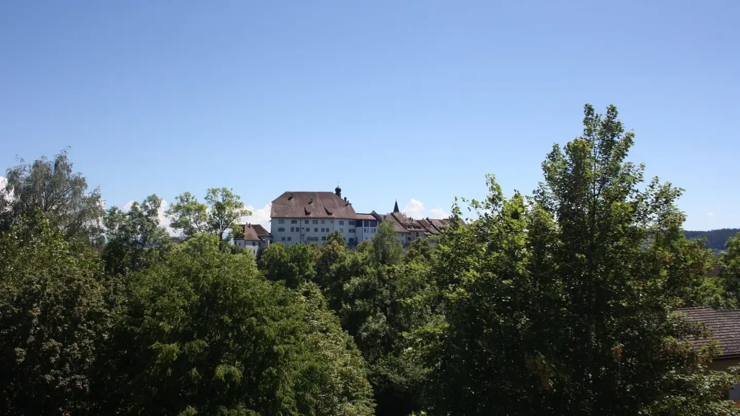 Casa bifamiliare in vendita - Hofbergstrasse, 9500 Wil SG - Photo 4