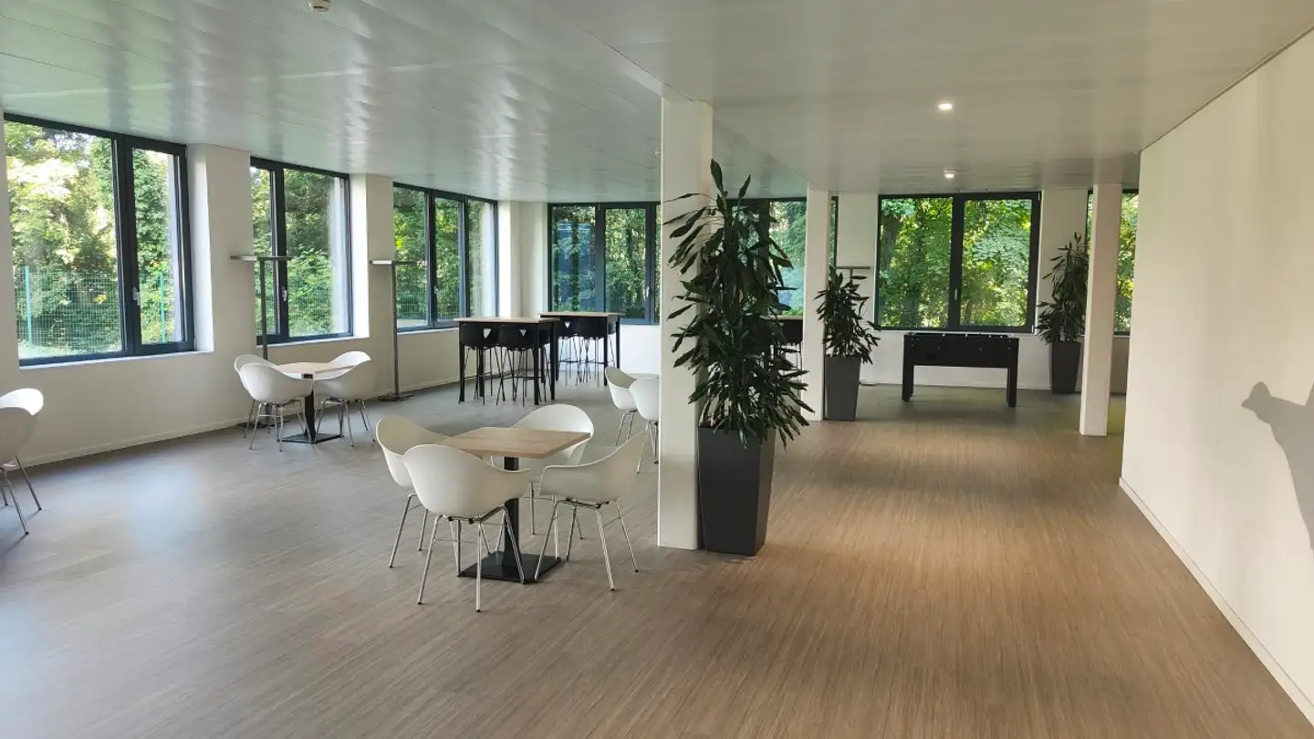 Negozio in affitto - Route De Suisse 162, 1290 Versoix - Foto 2