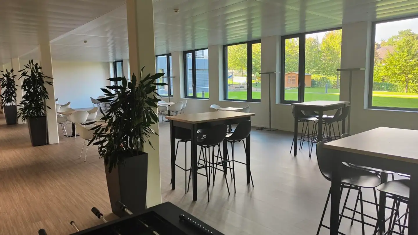 Negozio in affitto - Route De Suisse 162, 1290 Versoix - Foto 3