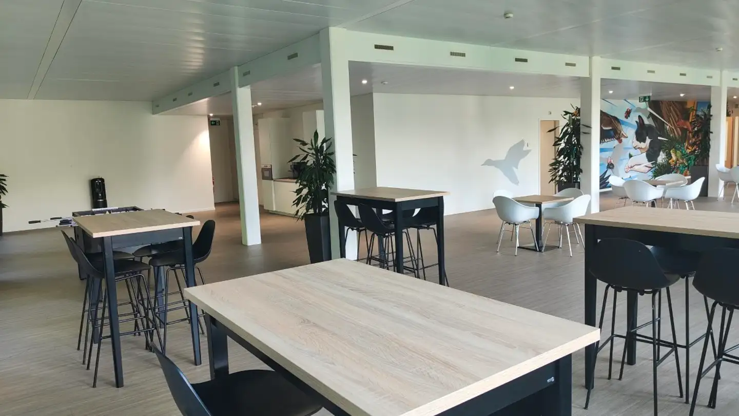 Negozio in affitto - Route De Suisse 162, 1290 Versoix - Foto 4