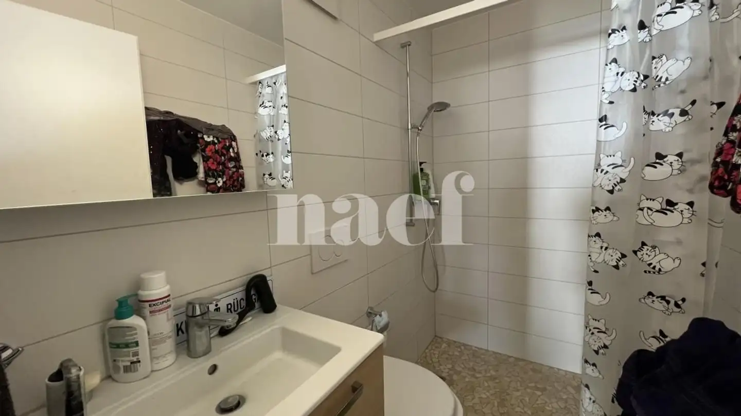 Appartamento in affitto - Route De Russy 14, 1563 Dompierre FR - Foto 4