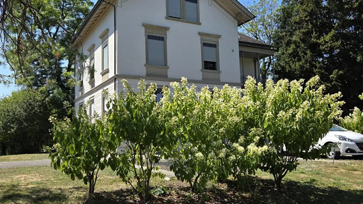 Apartment for rent - Thundorferstrasse 46, 8500 Frauenfeld