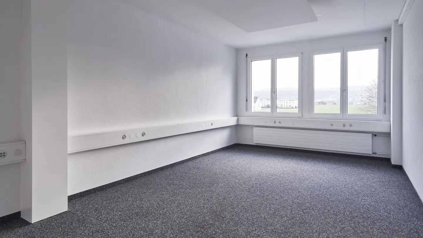 Spazio pubblicitario in affitto - Sonnenbergstrasse 72, 8603 Schwerzenbach - Foto 3