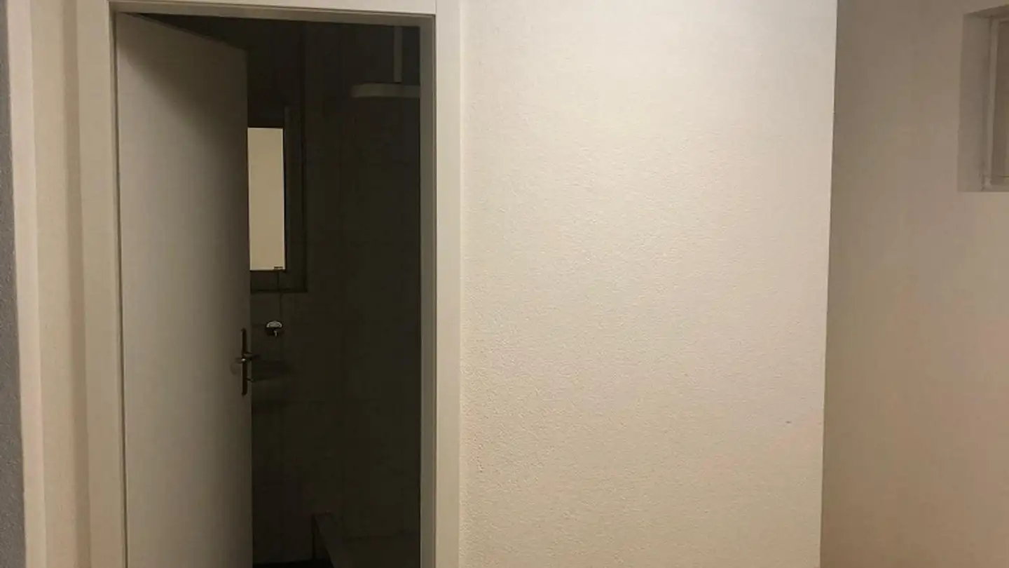 Appartement à louer - 6210 Sursee - Photo 2