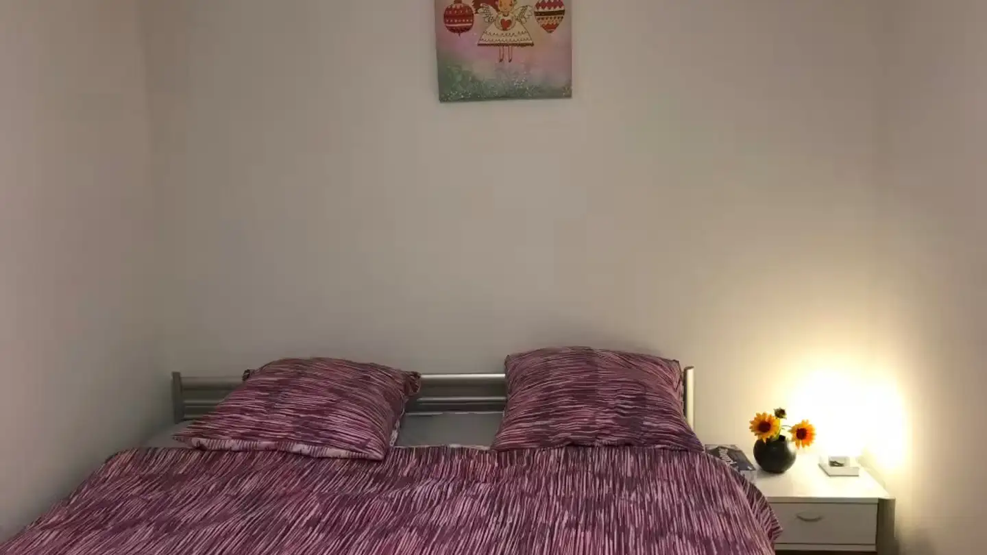 Appartement à louer - Wallisellerstrasse, 8152 Opfikon - Photo 3