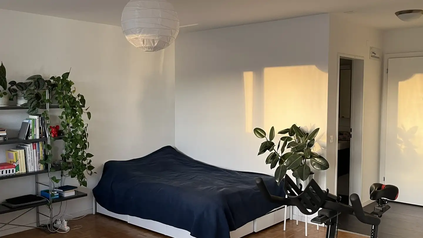 Appartamento in affitto - Meierwiesenstrasse 54, 8064 Zürich - Photo 3