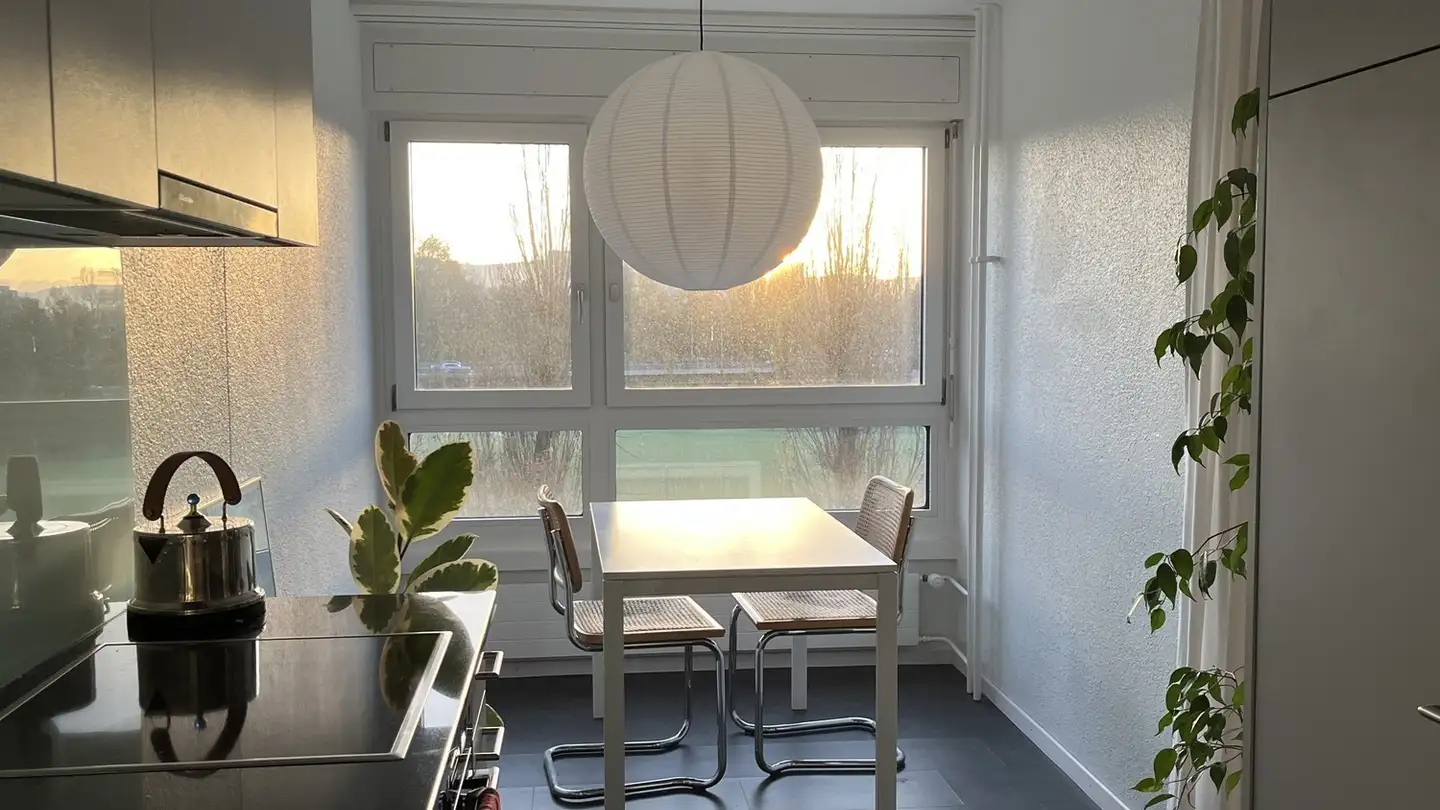 Appartamento in affitto - Meierwiesenstrasse 54, 8064 Zürich - Photo 4