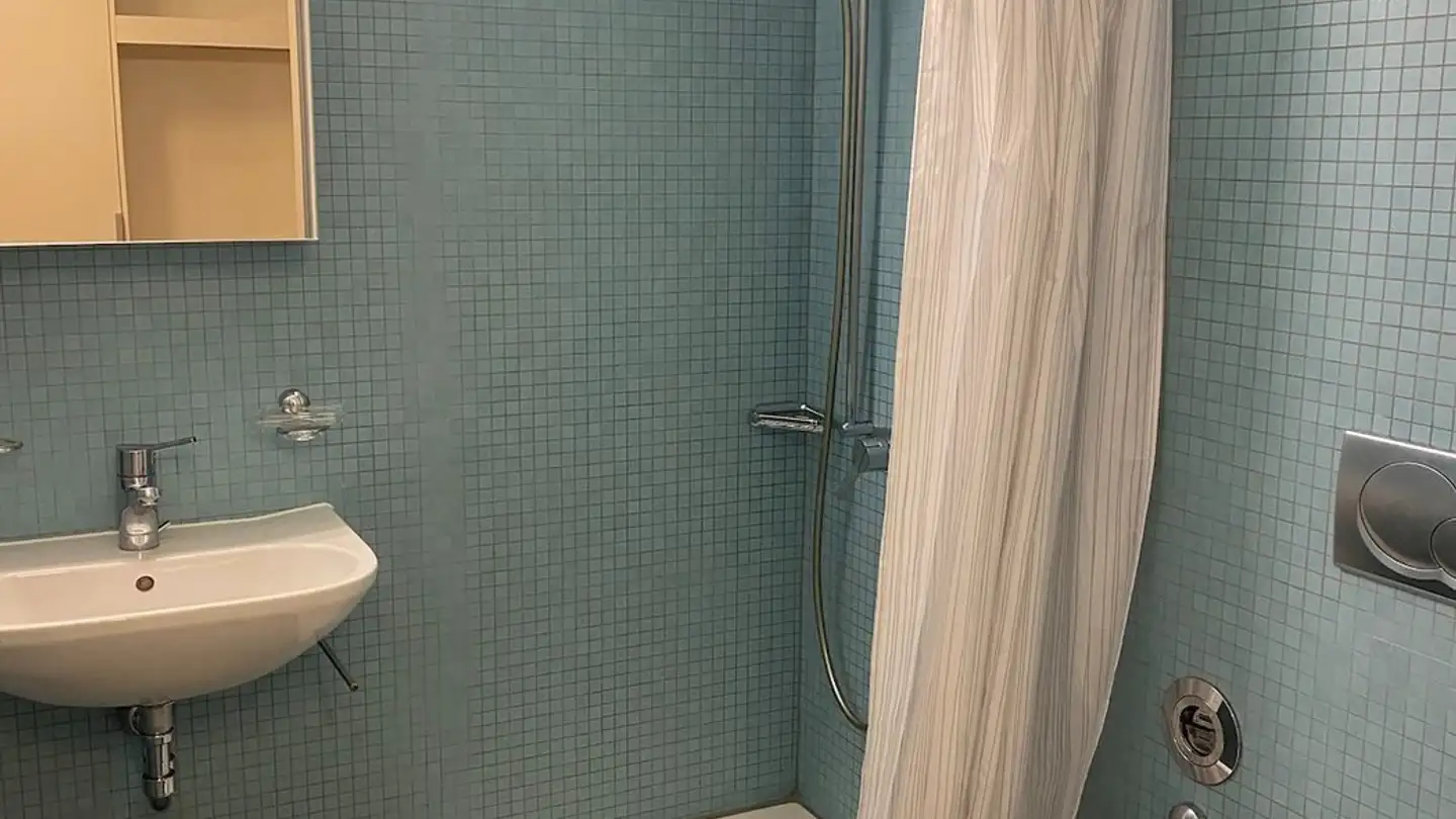 Chambre à louer - 8050 Zürich - Photo 4