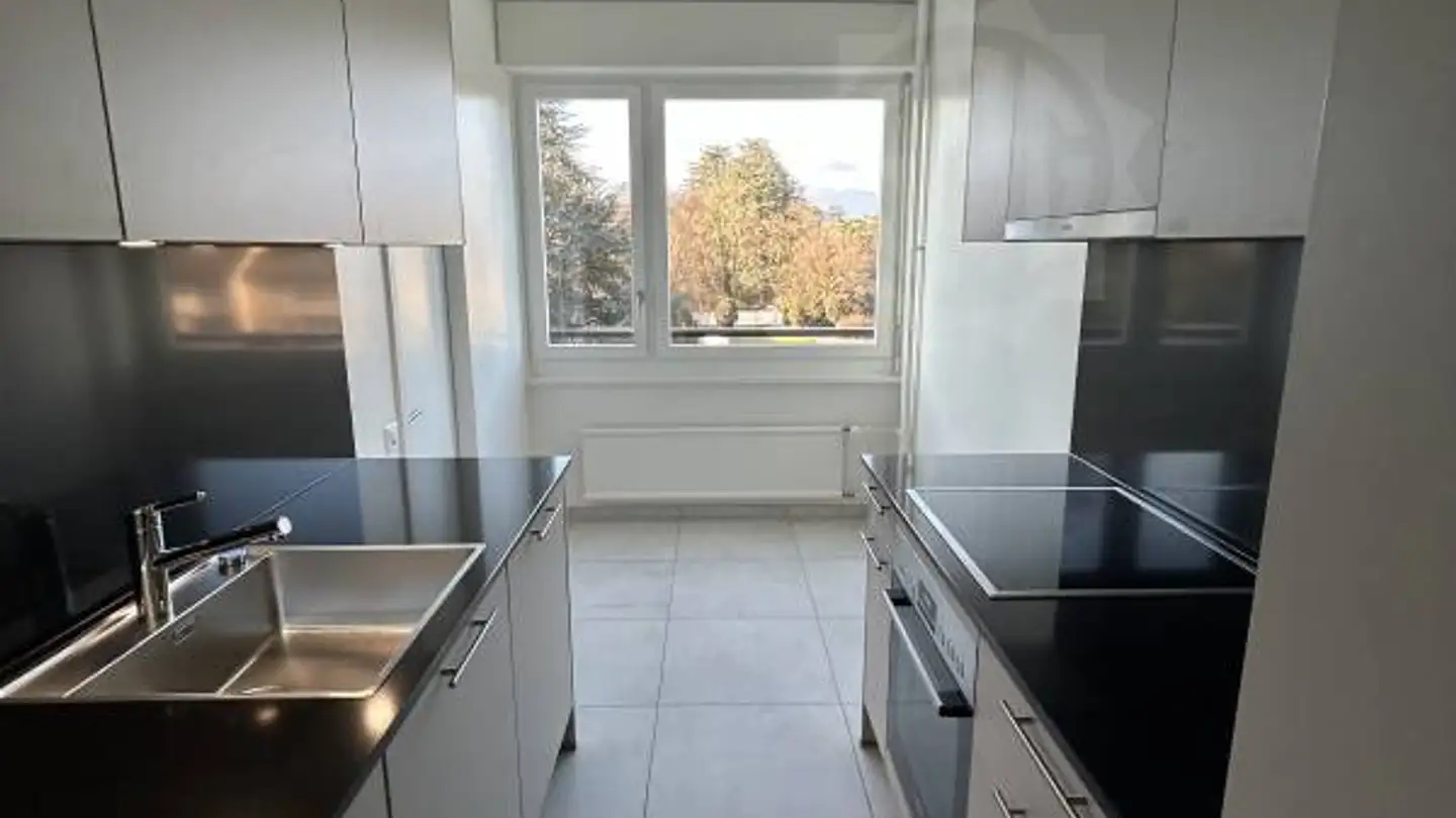 Appartamento in affitto - Chemin Briquet 20, 1209 Genève - Foto 2