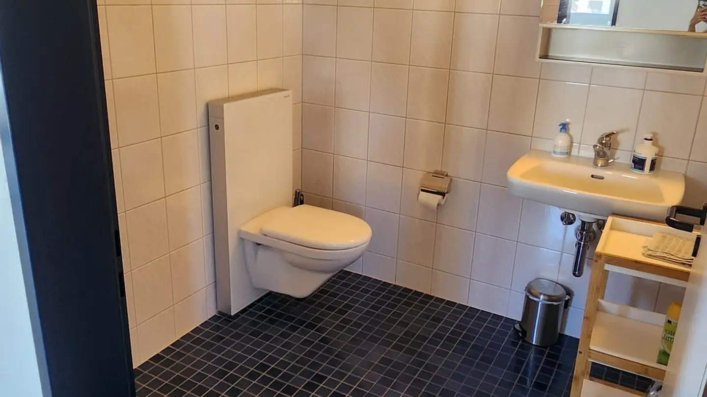 Stanza singola in affitto - Wilenstrasse 126, 8832 Wilen b. Wollerau - Photo 4