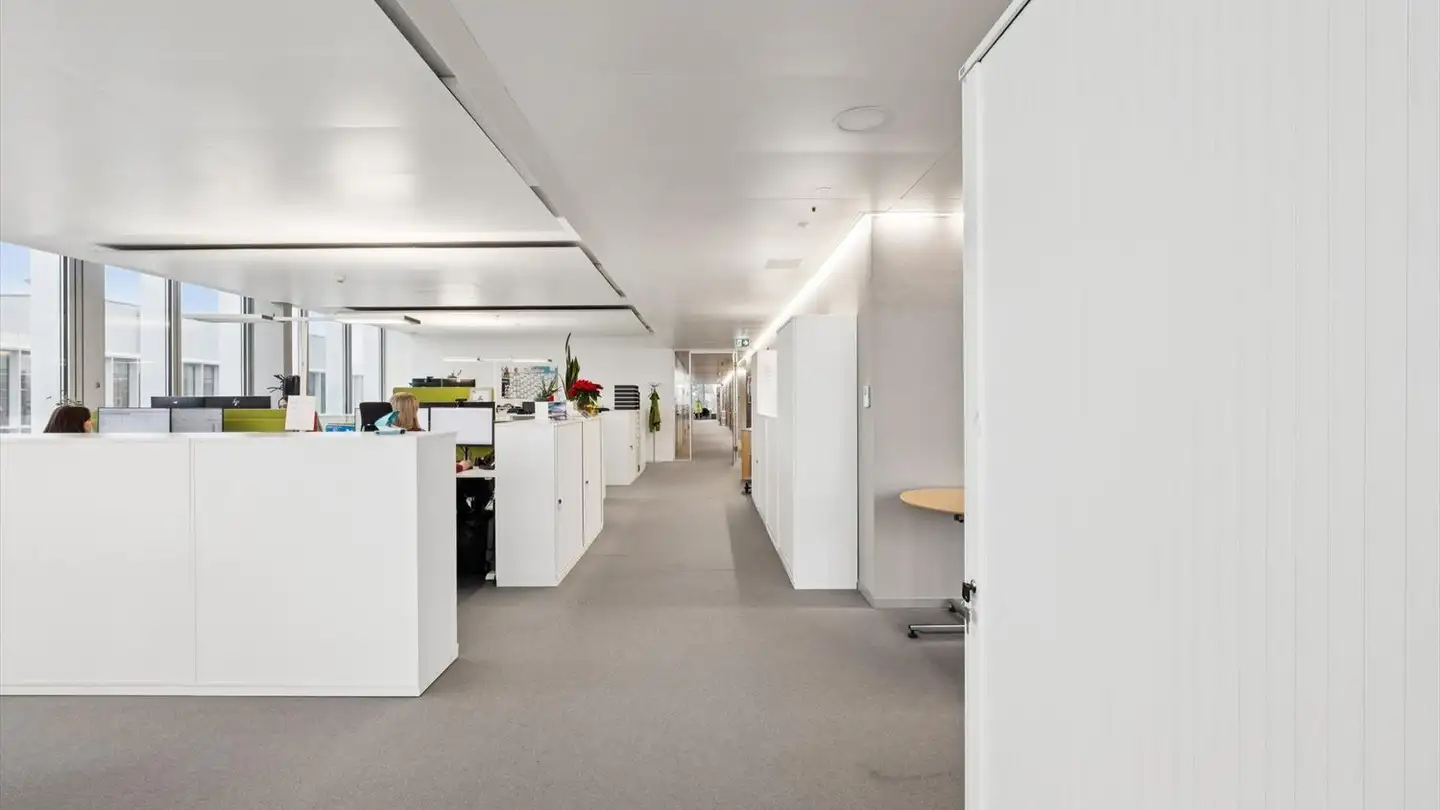 Commercial à louer - Untere Brühlstrasse 4, 4800 Zofingen - Photo 3