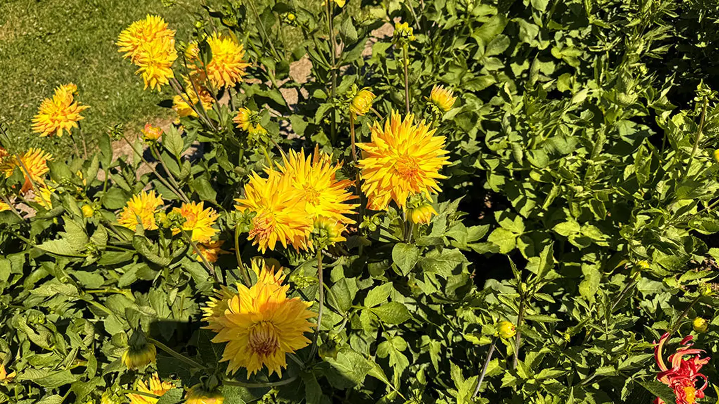 Maison individuelle à vendre - 2000 Neuchâtel - Photo 2