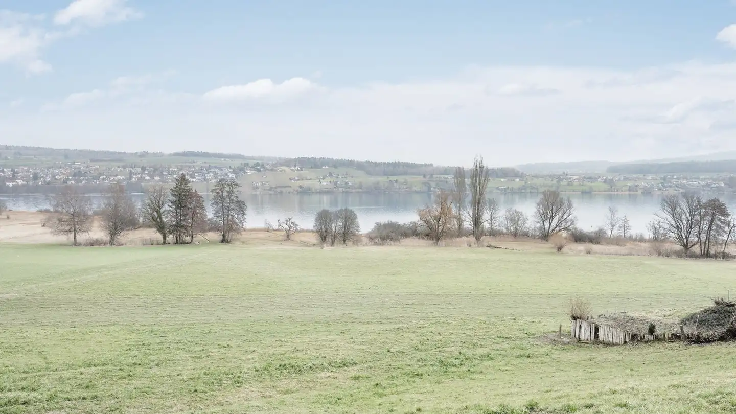 Terreno edificabile in vendita - Alte Seetalstrasse 9, 5706 Boniswil - Photo 3