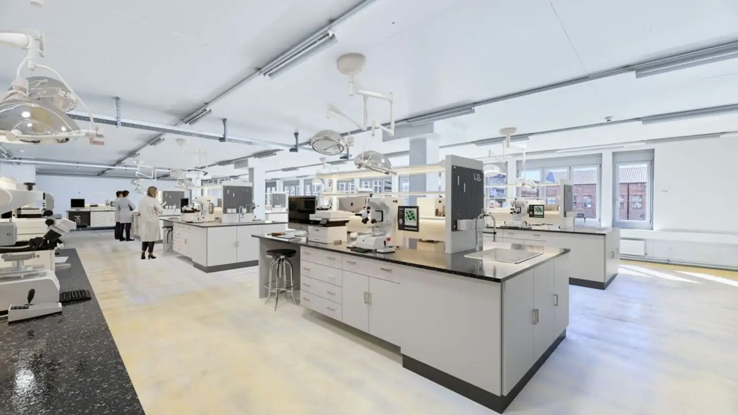 Commercial for rent - Bonergasse 10, 4057 Basel - Photo 4