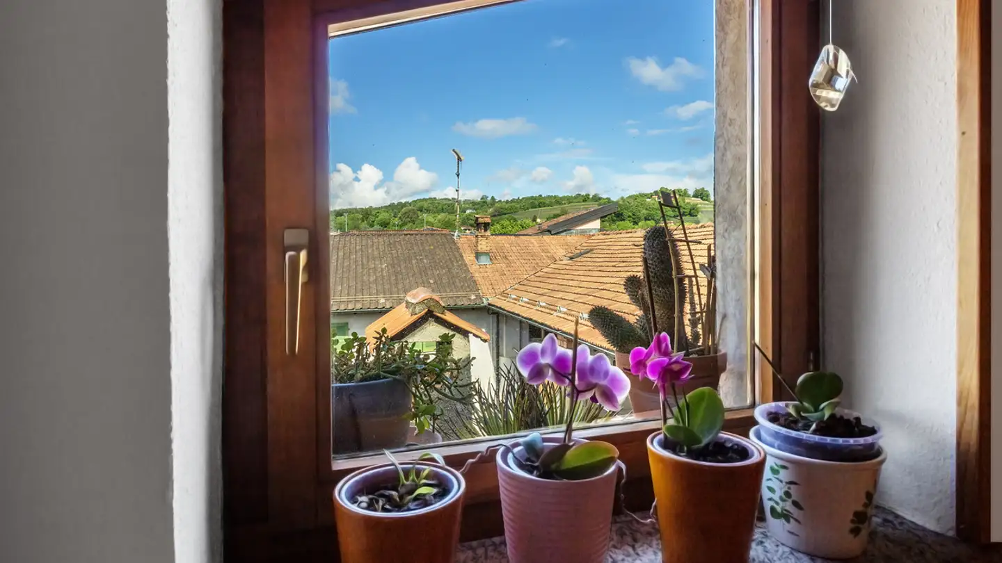 Cave house for sale - Via Grütli, 6855 Stabio - Photo 4