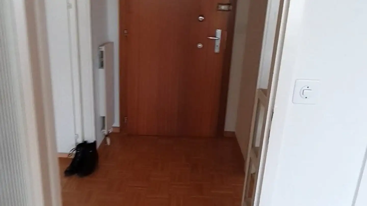 Apartment for rent - Rue Jean- Simonet 2, 1219 Châtelaine - Photo 3