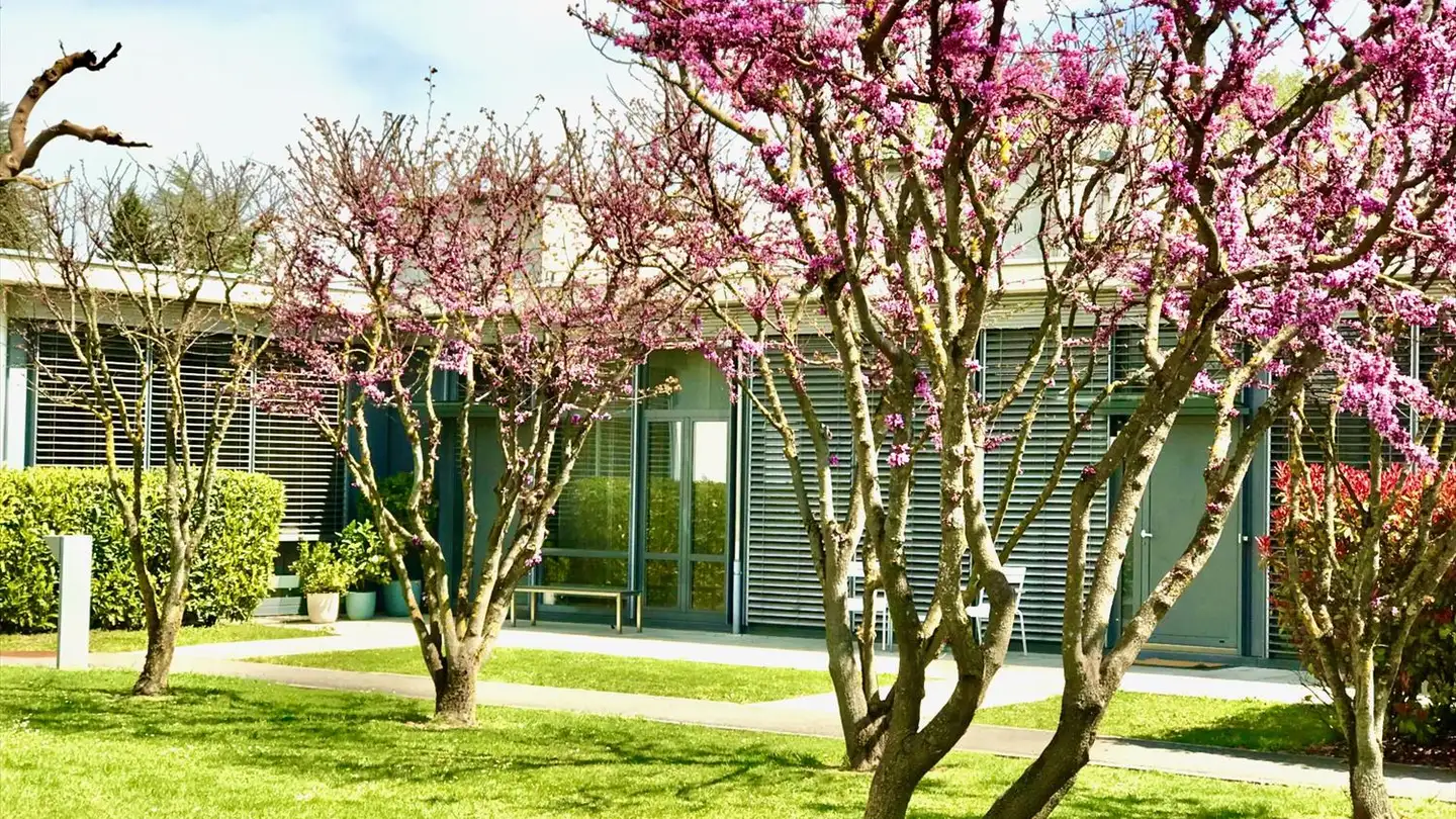 Loft à louer - 1256 Troinex - Photo 2