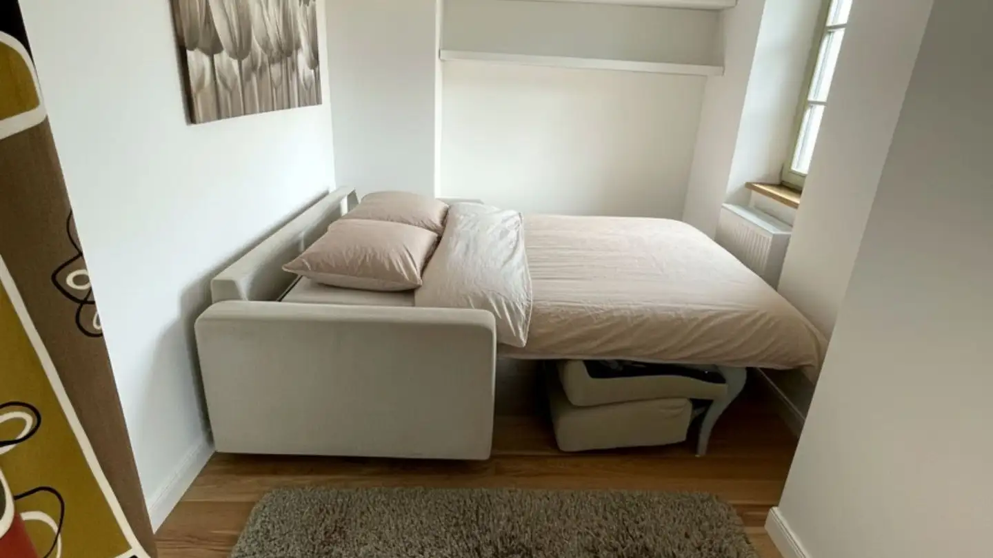 Furnished apartment for rent - Schönmaiengässchen 22, 8200 Schaffhausen - Photo 2