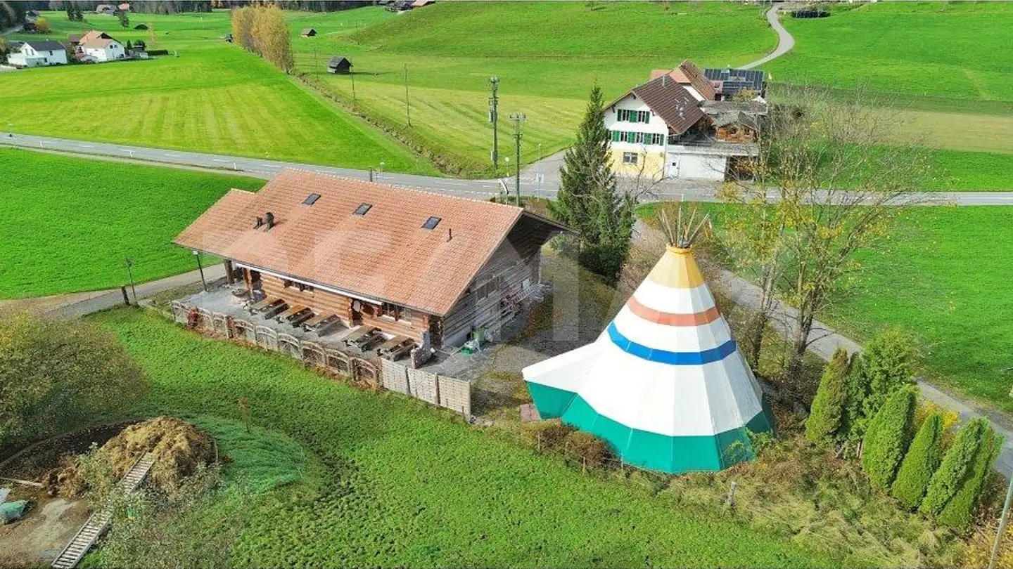 Commercial à vendre - 3616 Schwarzenegg - Photo 3