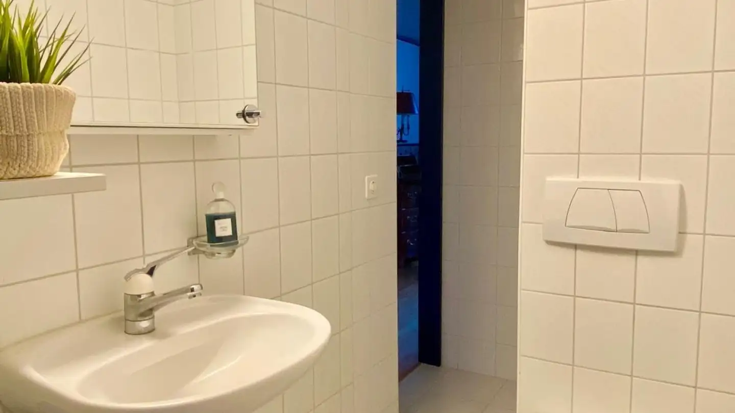 Apartment for rent - Traubenbergstrasse 16, 8712 Stäfa - Photo 4