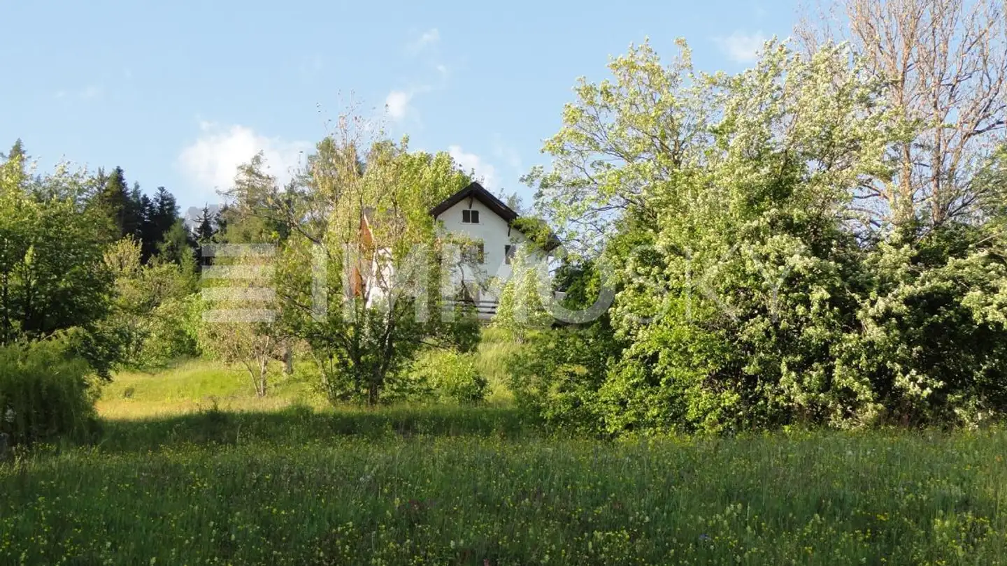 Terrain constructible à vendre - 1911 Ovronnaz - Photo 3