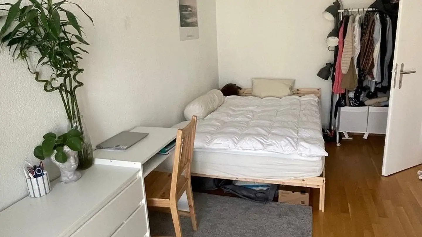 Stanza singola in affitto - 3008 Bern