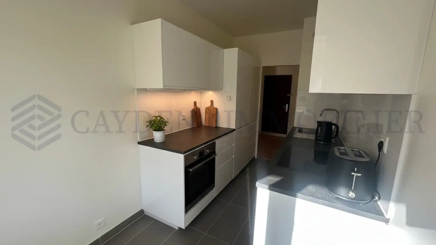 Wohnung kaufen - 1218 Le Grand-Saconnex - Foto 4