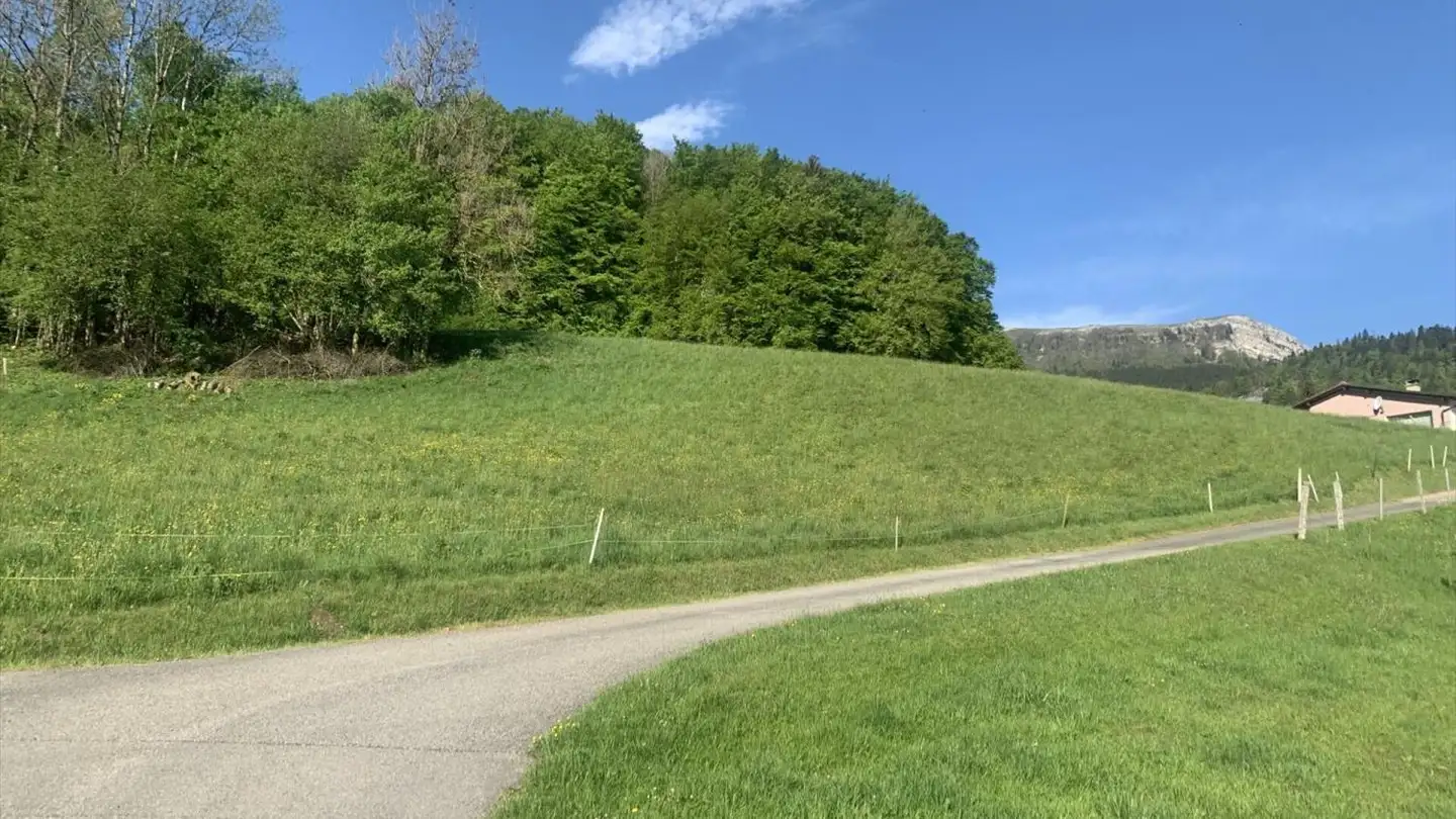 Terreno edificabile in vendita - 1337 Vallorbe - Photo 4