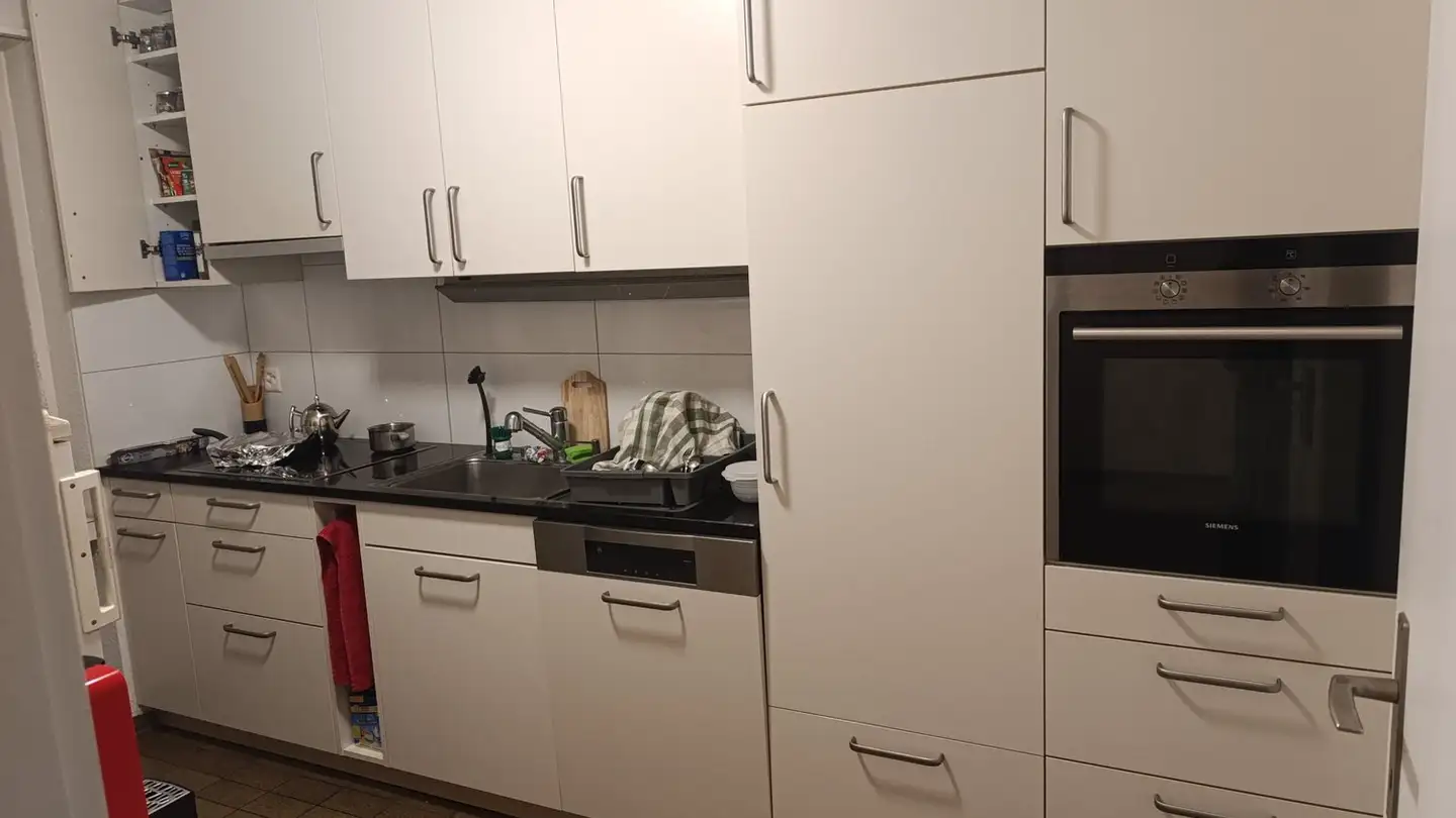 Appartamento in affitto - Bruneggerstrasse 1b, 5103 Möriken AG - Foto 4