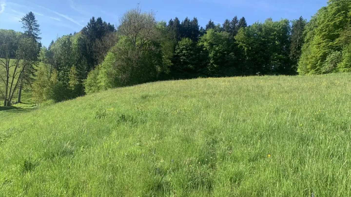 Terreno edificabile in vendita - 1337 Vallorbe - Photo 2