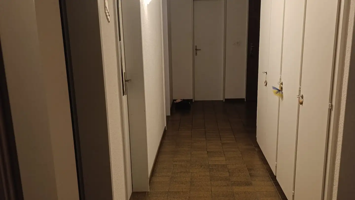 Appartamento in affitto - Bruneggerstrasse 1b, 5103 Möriken AG - Foto 3