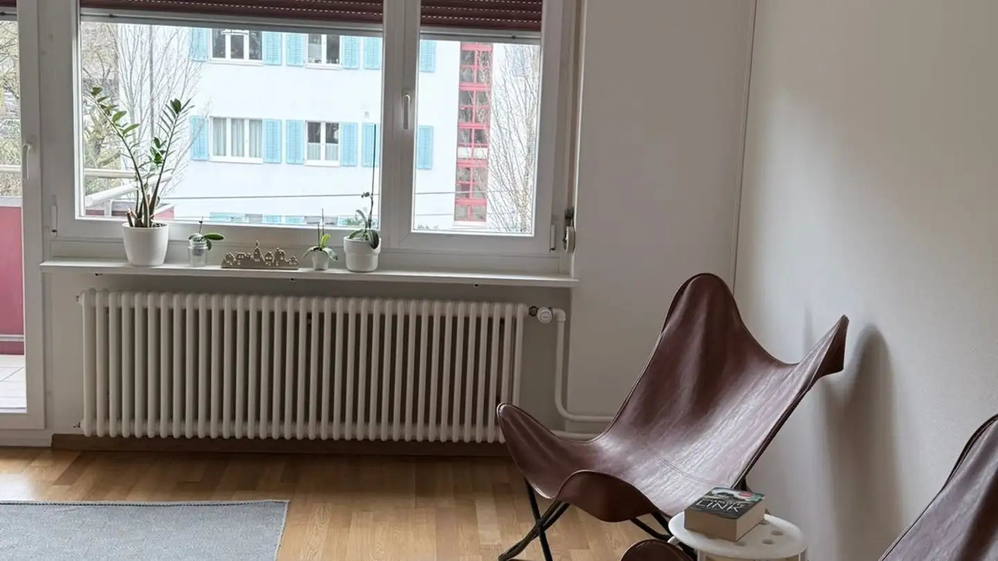 Chambre à louer - Birmensdorferstrasse, 8055 Zürich - Photo 2