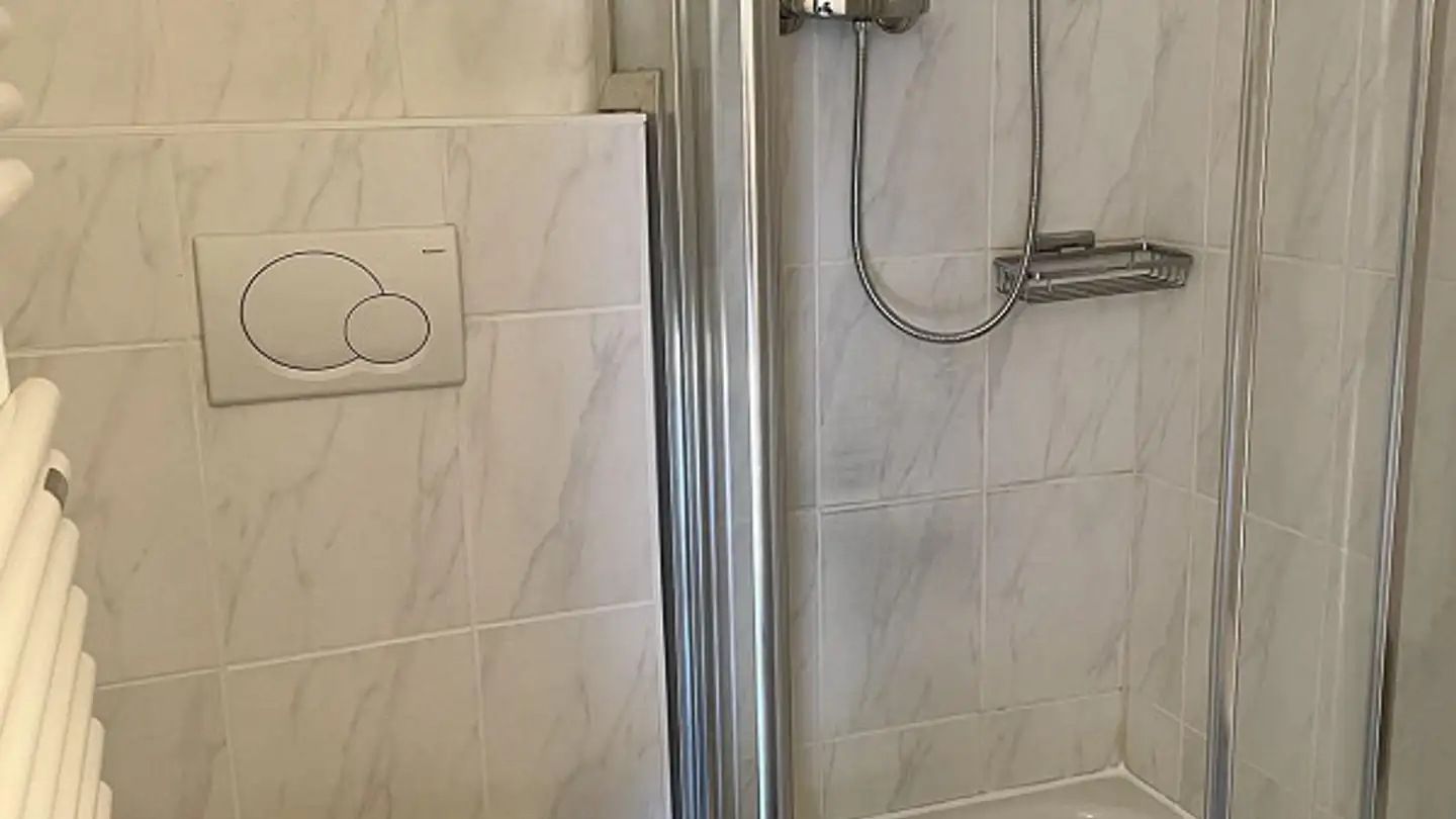 Appartement à louer - Rue Jean- Jaquet 18, 1201 Genève - Photo 4