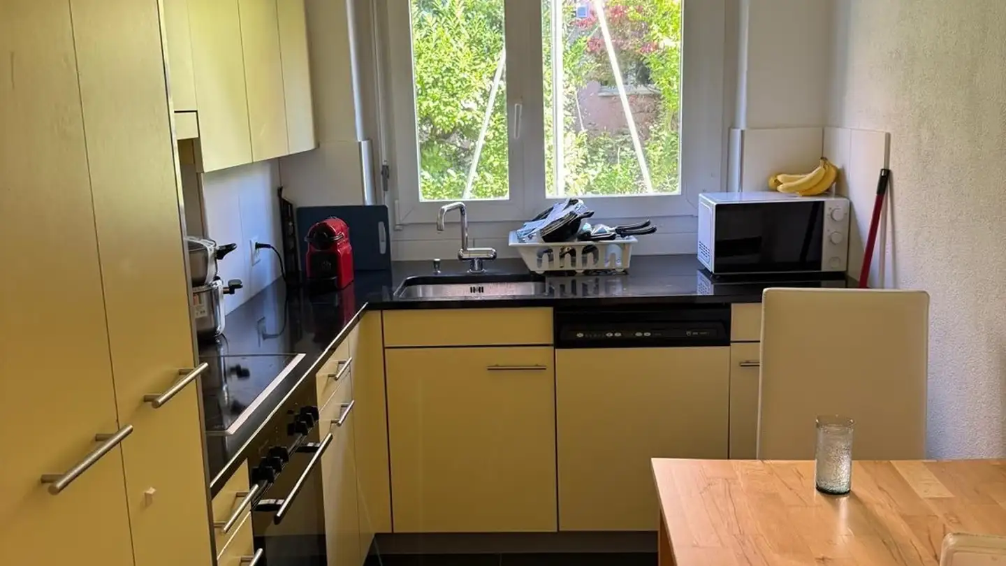 Single room for rent - Döltschihalde 39, 8055 Zürich - Photo 2