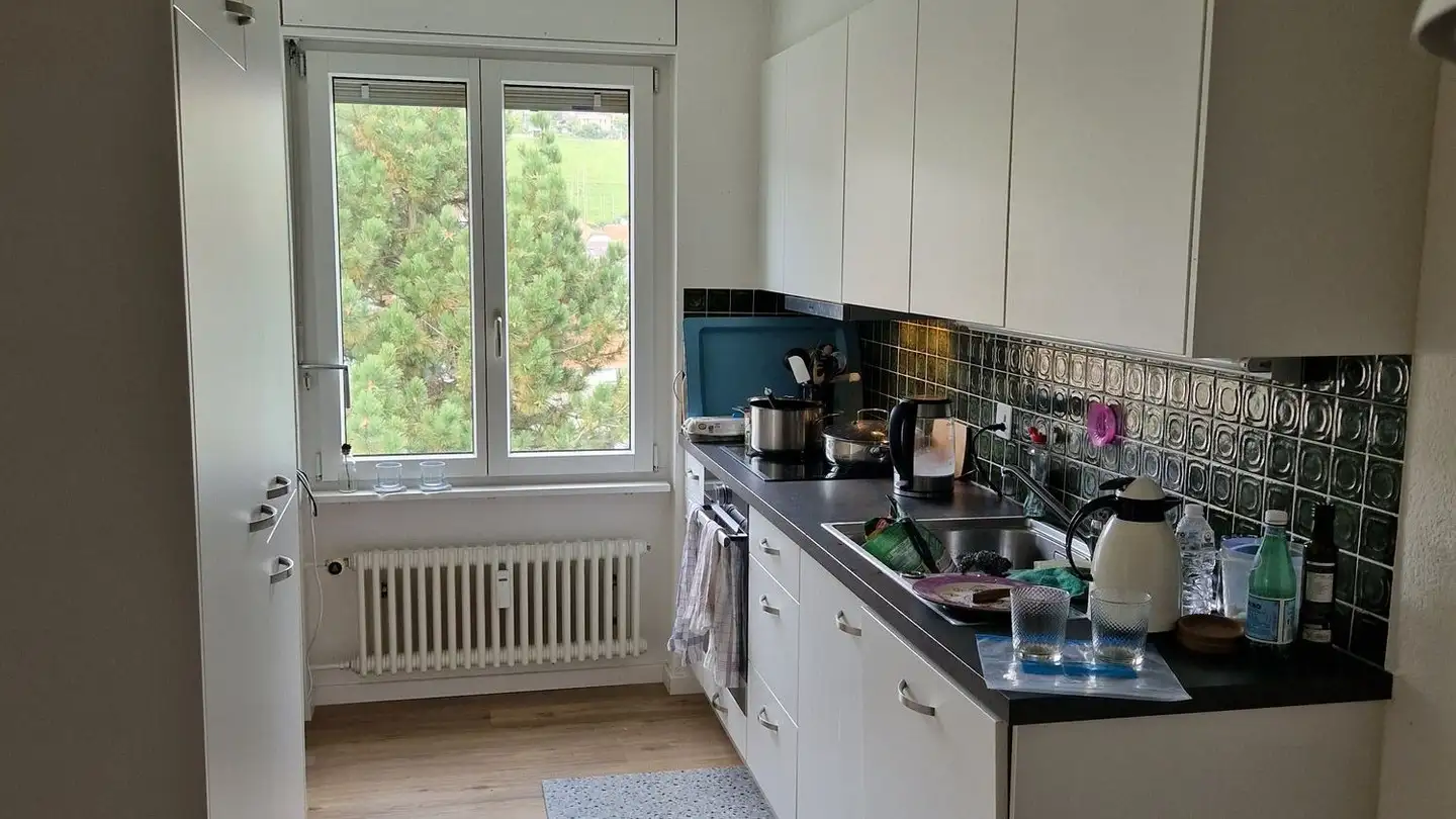 Apartment for rent - Quartierstrasse 1, 5013 Niedergösgen - Photo 4