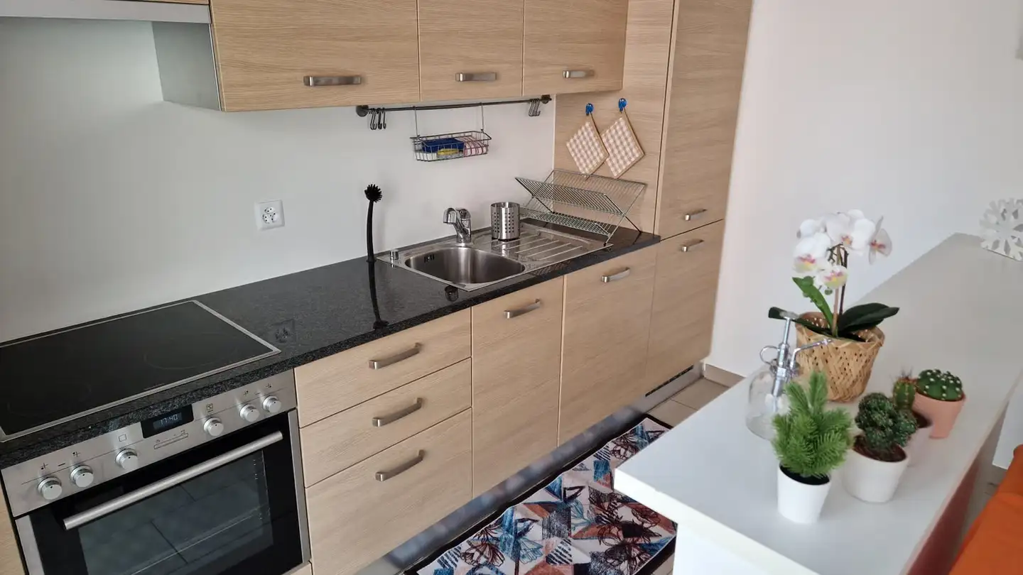 Appartement à louer - Via Caragne, 6900 Lugano - Photo 4