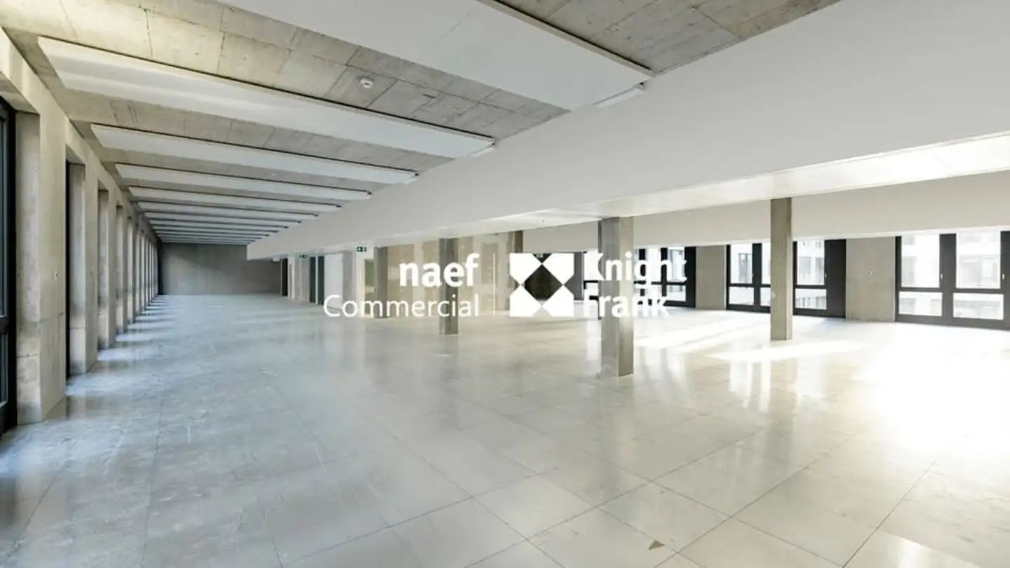 Commercial à louer - Rue De Lyon 114, 1203 Genève - Photo 2