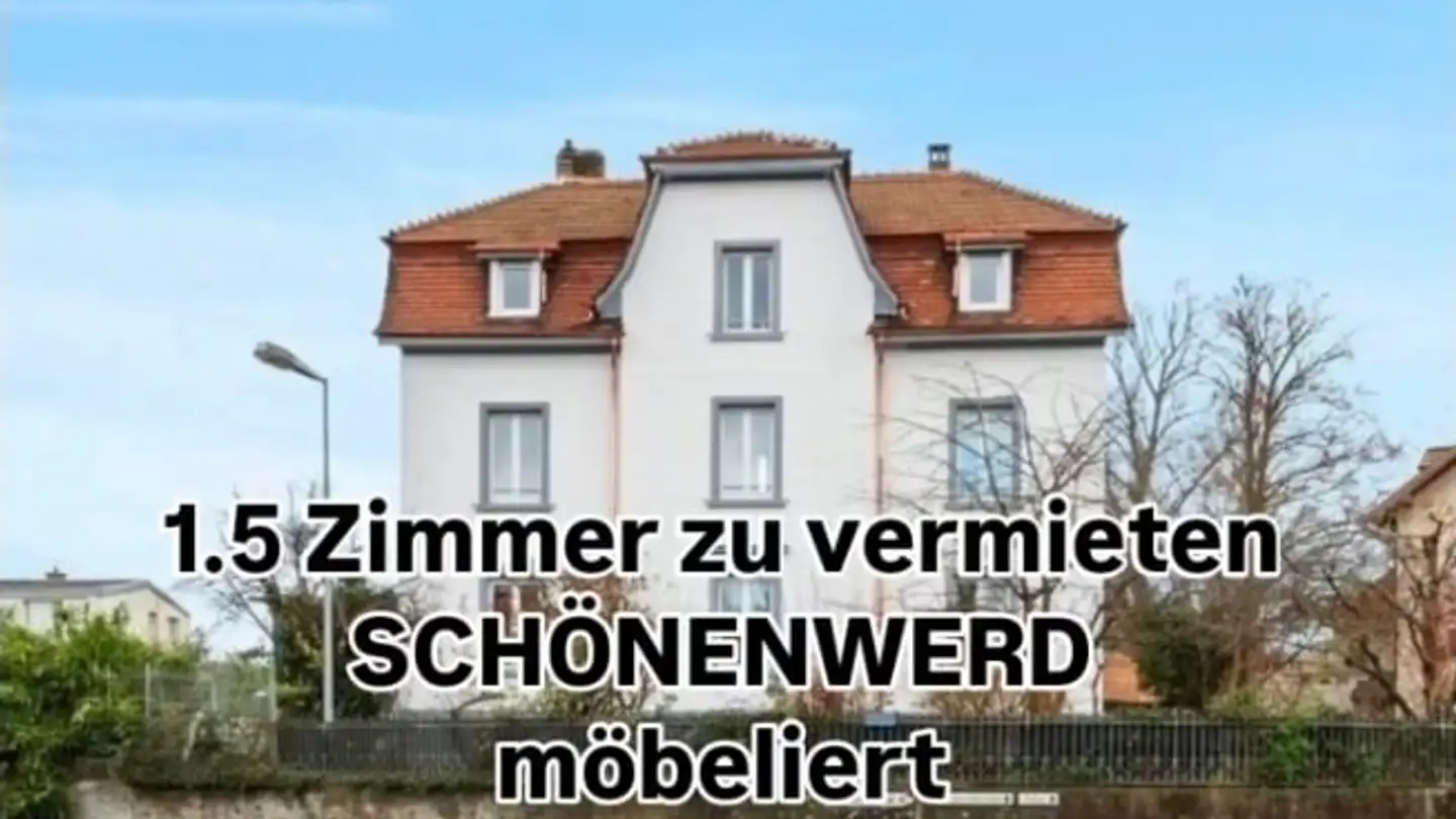 Appartamento in affitto - Carl-Franz-Ballystrasse, 5012 Schönenwerd