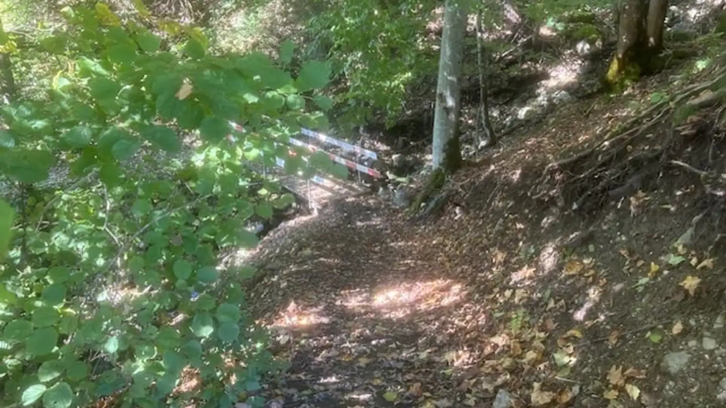 Single house for sale - Le Sépey, 1863 Le Sépey - Photo 2