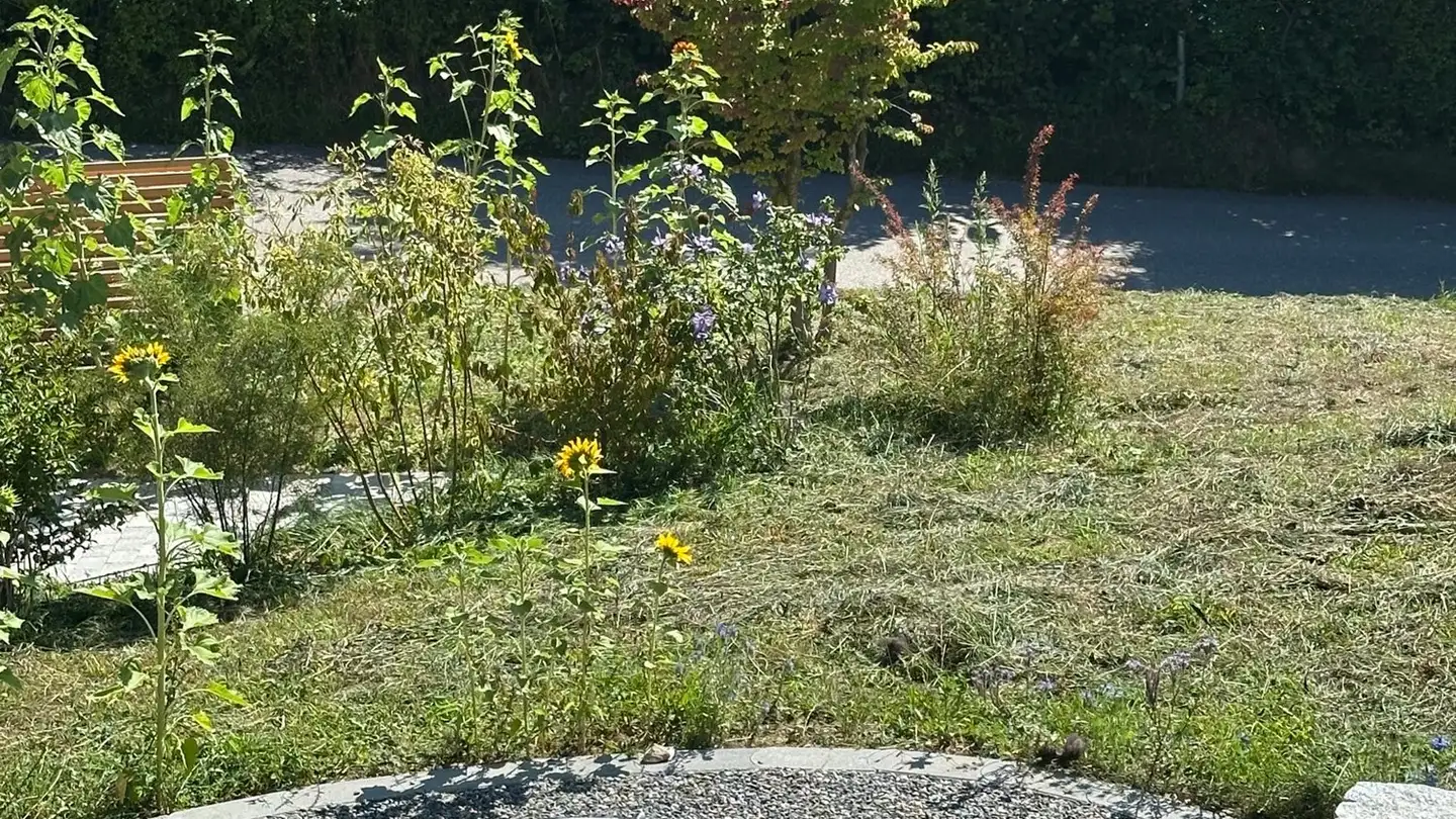 Apartment for rent - 3150 Schwarzenburg - Photo 4