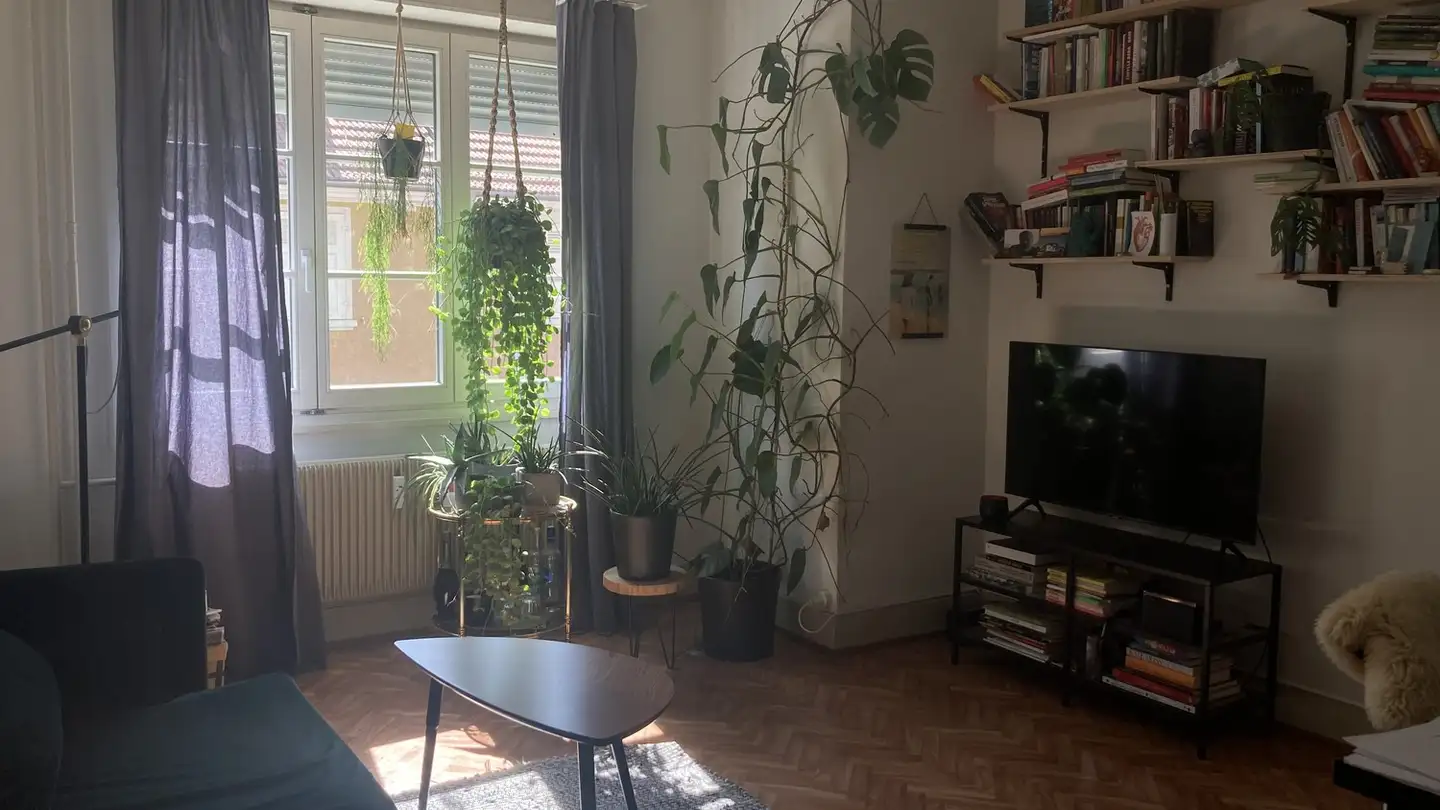 Apartment for rent - 4056 Basel