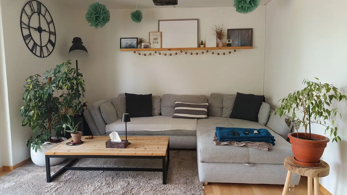 Appartement à louer - 8400 Winterthur