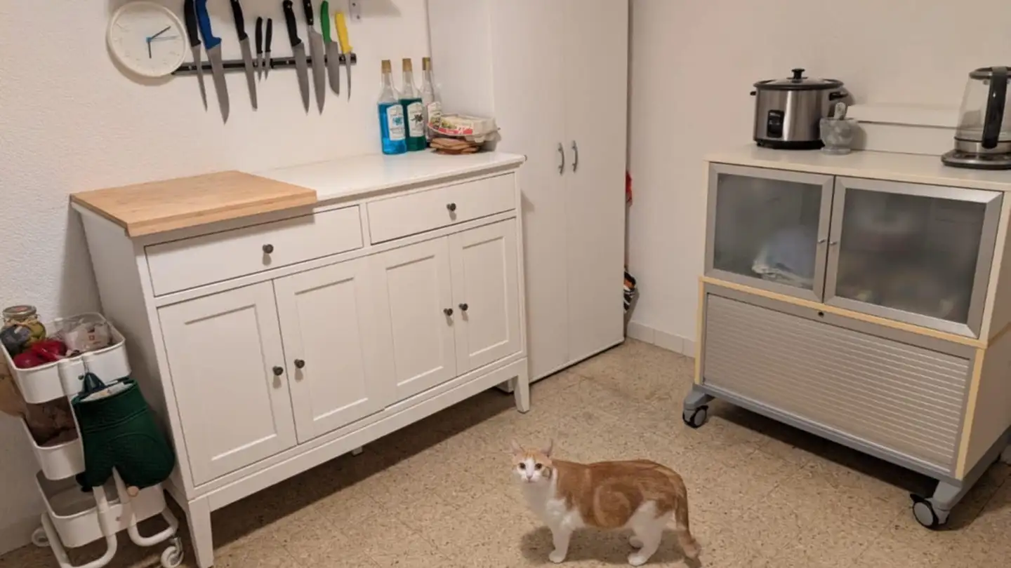 Appartamento in affitto - Route D'arzier 16, 1264 St-Cergue - Photo 2