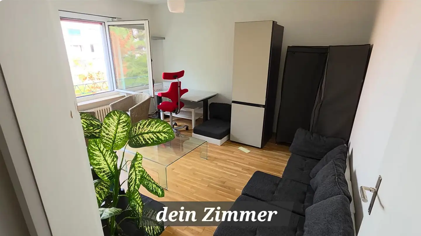 Furnished apartment for rent - 4055 Basel