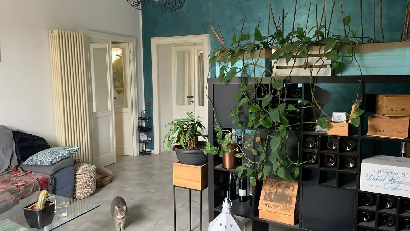 Wohnung mieten - 6837 Bruzella