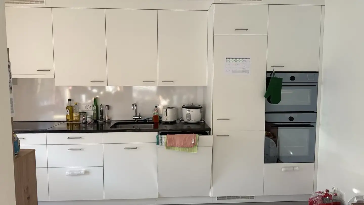 Appartamento in affitto - Diggelmannstrasse 31, 8047 Zürich - Foto 3