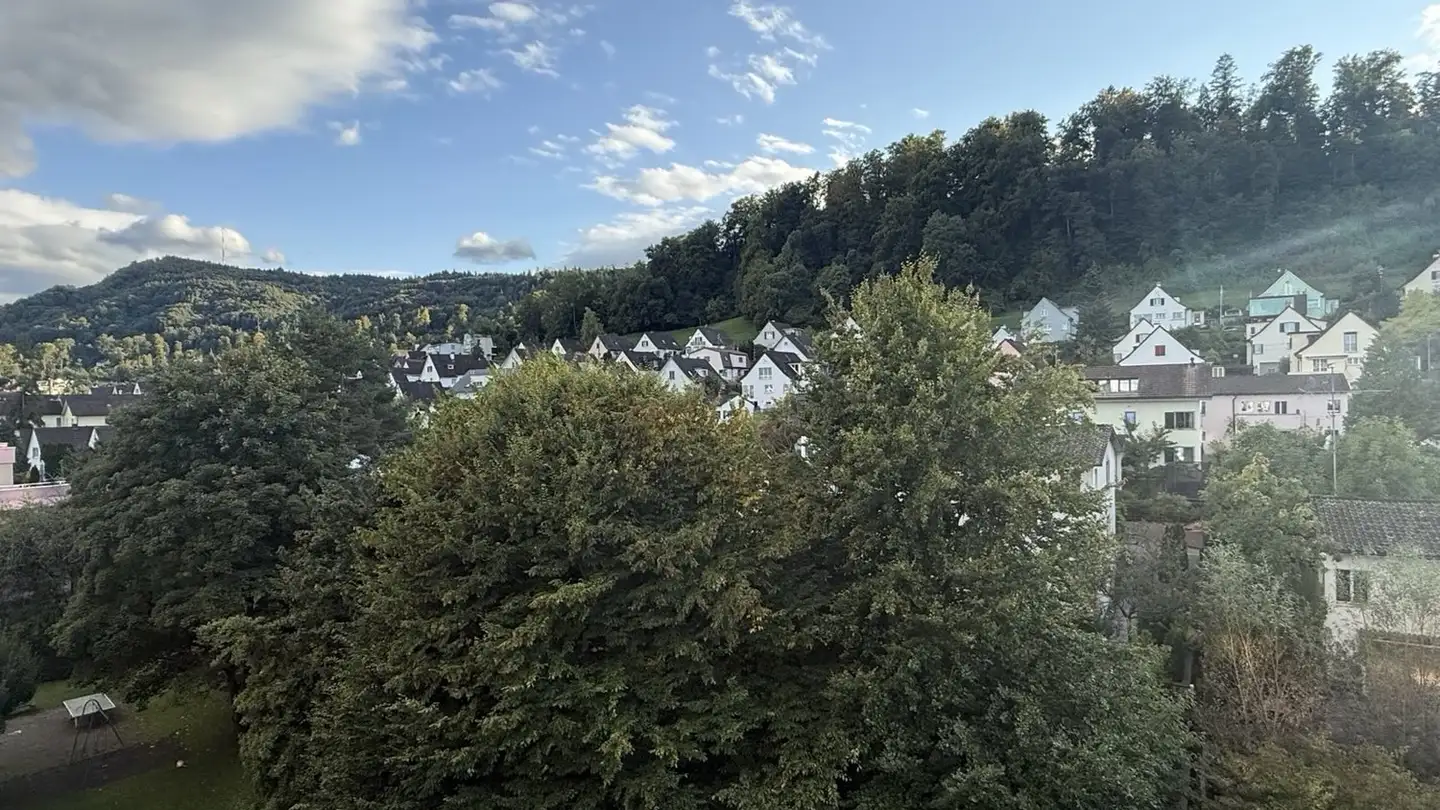 Appartamento in affitto - Diggelmannstrasse 31, 8047 Zürich - Foto 4