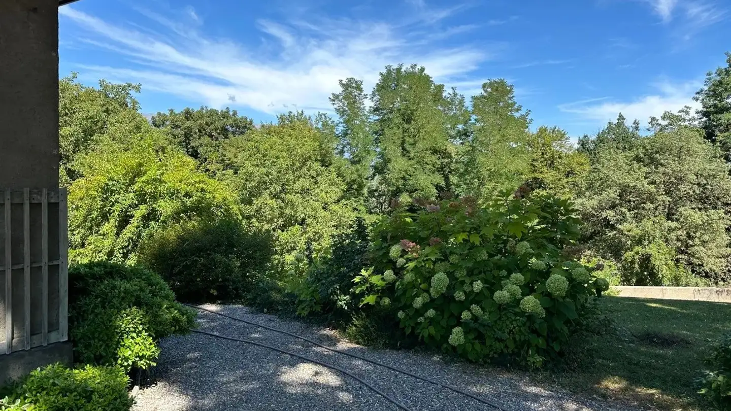 Haus mieten - Chemin Des Roches 19, 1236 Cartigny - Foto 4