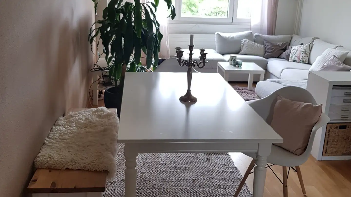 Stanza singola in affitto - 8606 Greifensee - Foto 4