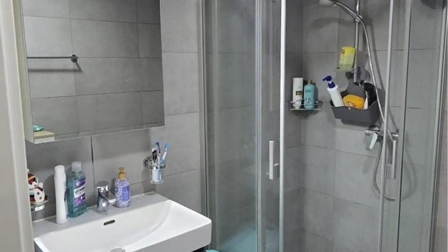 Wohnung mieten - Route Du Lac 15, 1763 Granges-Paccot - Foto 4